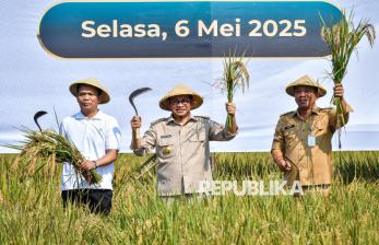 In Picture: Gubernur Pramono Panen Padi Program Contract Farming di Karawang