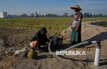 Melawan Kemarau, Petani Gowa Andalkan Sumur Bor untuk Menjaga Sawah Tetap Produktif