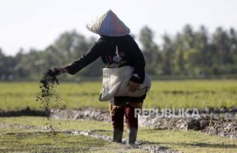 Indef Dorong Pemerintah Perbesar Ruang Anggaran Pupuk Organik - Vimarsana News