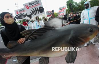 In Picture: Pencemaran Ancam Ekosistem Ikan di Sungai Brantas 