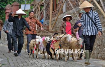 In Picture: Pawai Ratusan Domba Ternak Meriahkan HUT RI di Temanggung