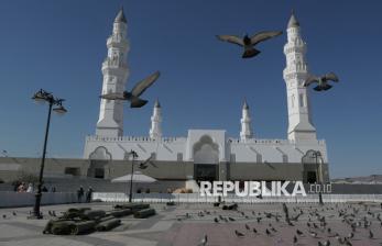 Merpati Aneka Warna dan Jejak Nabi Muhammad di Masjid Quba