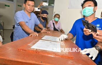Jenazah Korban Jatuh di Rinjani, Juliana Maris, Dipulangkan ke Brasil Malam Ini 