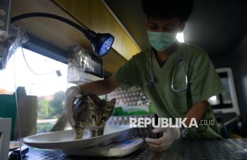 Mobil Klinik Hewan Keliling, Dekatkan Layanan Kesehatan Hewan ke Warga Jakarta