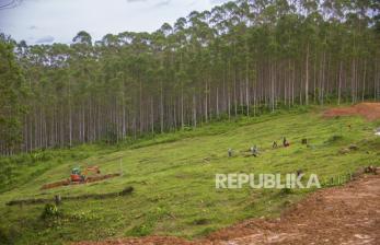 Sejumlah pekerja menyelesaikan lahan yang akan menjadi lokasi Presiden Joko Widodo berkemah di titik nol kawasan Ibu Kota Negara (IKN) Nusantara di Kecamatan Sepaku, Kabupaten Penajam Paser Utara, Kalimantan Timur, Ahad (6/2/2022). Komisi Pemberantasan Korupsi (KPK) menjelaskan bagi-bagi kavling di lahan Ibu Kota Nusantara (IKN) di Kalimantan Timur.