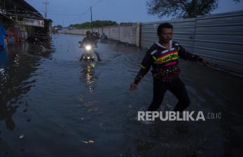 In Picture: Banjir Rob Rendam Puluhan Rumah Warga di Indramayu