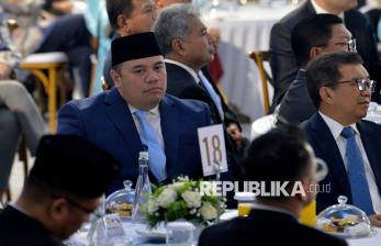 Danantara: Energi Terbarukan di Indonesia Tumbuh Cepat Tiap Tahun