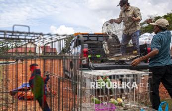 Polda Kepri Gagalkan Perdagangan Puluhan Satwa Dilindungi