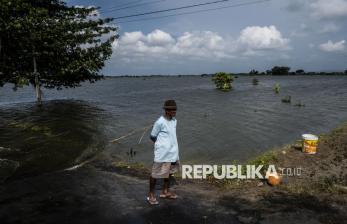 1.970 Hektar Lahan Sawah di Kudus Terendam Banjir, Petani Terancam Gagal Panen