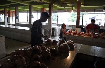 Demi Stabilkan Harga, Enam Juta Bibit Ayam Ras Dipangkas