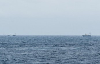 Jumlah kapal nelayan pukat China yang melakukan penangkapan ikan (ilustrasi)