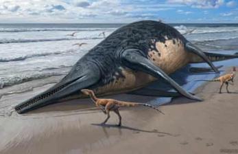 Ayah dan Anak Ini Temukan Fosil Reptil Laut Raksasa