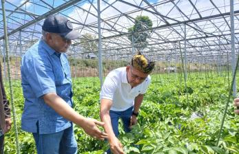 Lewat Rembug Tani, PI Gelorakan Sembalun Sebagai Sentra Holtikultura RI