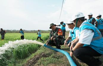 Dukung Pengembangan Pertanian di Merauke, PLN Listriki Area Sawah Garapan Kementan-TNI