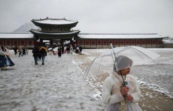  Seoul Terkubur Salju, Ratusan Penerbangan Dibatalkan