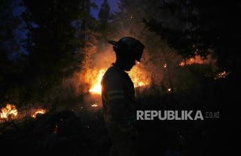 Israel Dilanda Kebakaran Terbesar Sepanjang Sejarah