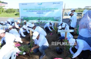 Peringati Hari Lingkungan Hidup, Pelindo Tanam 40 Ribu Pohon Serentak
