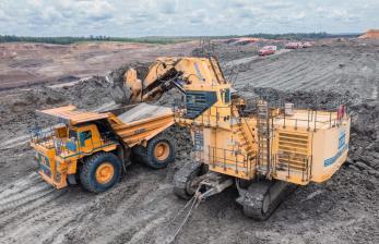 PTBA Bagikan Dividen Rp 3,83 Triliun, Tangguh Meski Harga Batu Bara Turun
