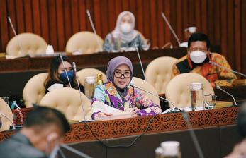 Anggota Komisi IV DPR Renny Astuti mendorong pemerintah melalui Kementerian Petanian untuk memperhatikan sebaran penyuluh pertanian. Sebab berdasarkan aspirasi yang diserap di daerah pemilihannya, banyak penyuluh pertanian yang kesulitan untuk menjangkau desa-desa yang menjadi wilayah kerja penyuluh pertanian lapangan (PPL).