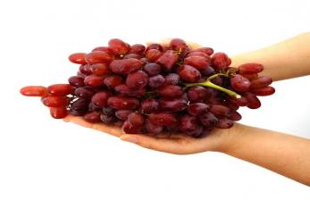 Makan Dua Cangkir Anggur per Hari Bisa Turunkan Risiko Penyakit Hati