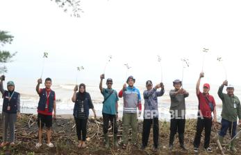 Lestarikan Pesisir Roban Timur, PLTU Batang Tanam Ribuan Mangrove