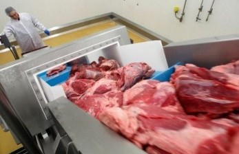 Daging Impor untuk Suplai Pasar Modern