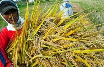 Bupati Batang Harapkan Program 'Sergap' Dinikmati Petani