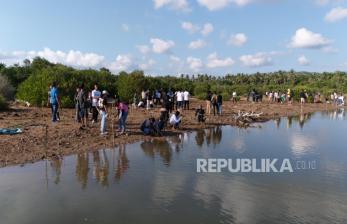 Sambut Tiga Momen Besar, Sabu Raijua Gandeng GEF SGP Indonesia Tanam 1.000 Mangrove