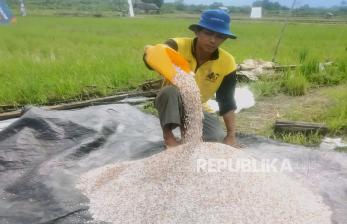 <em>Resign</em> dari Industri Migas Hijrah Menjadi Petani, Hadi Nikmati Omzet Ratusan Juta