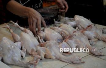 Viral Atlet Binaraga Malang Terpaksa Makan Ayam Tiren yang Sudah Busuk, Ini Alasannya