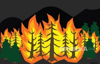 Perusahaan Malaysia Pembakar Hutan di Kalbar Dihukum Rp 917 Miliar 