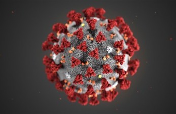Ilustrasi SARS-CoV-2, virus corona tipe baru penyebab Covid-19. Dunia diserukan untuk mengantisipasi kemunculan varian baru yang mengkhawatirkan.