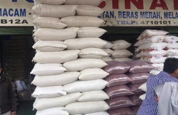 Ilustrasi Stok beras