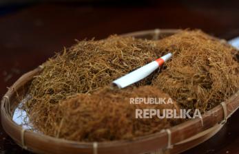 Tembakau dan Kolonialisme