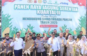 Kapolda dan Wagub Jabar Panen Raya Jagung di Hutan Perhutani Gantar