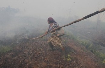 Berawal Bakar Sampah, Gedung Sekolah di Cirebon Dilalap Api