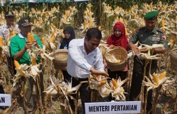 Mentan Setuju Pencetakan Sawah Baru 12.000 Hektar di Sultra