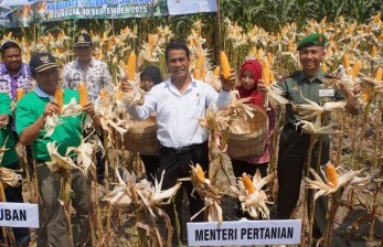 Kementan Alokasikan Dana Pertanian Kolaka Rp 122 Miliar