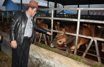 Komisi IV DPR RI mendukung pengembangan Sapi Aceh demi swasembada protein hewani di Indonesia