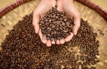 Pemerintah Gelontorkan Rp 1,5 Triliun untuk Pengembangan Kopi