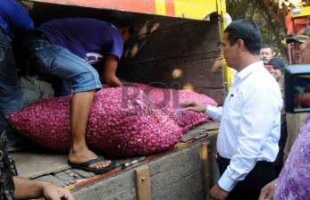 Mentan: Indonesia Tengah Menuju Pertanian Modern