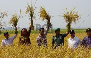 Mentan Beli Gabah Kering Rp 2,5 Juta Pakai Duit Gaji