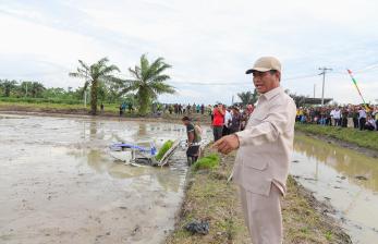 Masuk Periode Nataru, Mentan: <em>Alhamdulillah</em> Stok Kita Aman