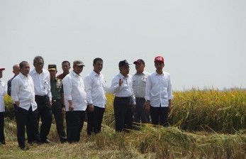 Jokowi : Ada Elnino Setiap Saat Masih Ada Panen