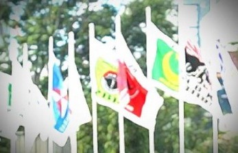 Jaga Ruh Demokrasi, Parpol Diminta Komitmen Kembalikan Sistem Perwakilan. Foto:   Partai politik / ilustrasi