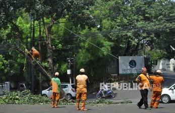 Jakarta Timur Gencarkan Pemangkasan untuk Antisipasi Pohon Tumbang