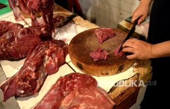 Kementan Prioritaskan Cukupi Kebutuhan Protein Hewani