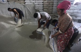 Rantai Pasokan Beras dari Petani ke Konsumen Capai 9 Tahap