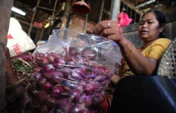 Kementan tak Izinkan Impor Bawang Merah