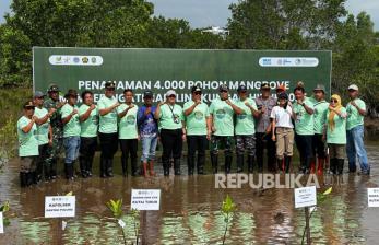 Arkara Energi dan Jejakin Tanam 4.000 Mangrove, Pakai AI Pantau Pemulihan Pesisir